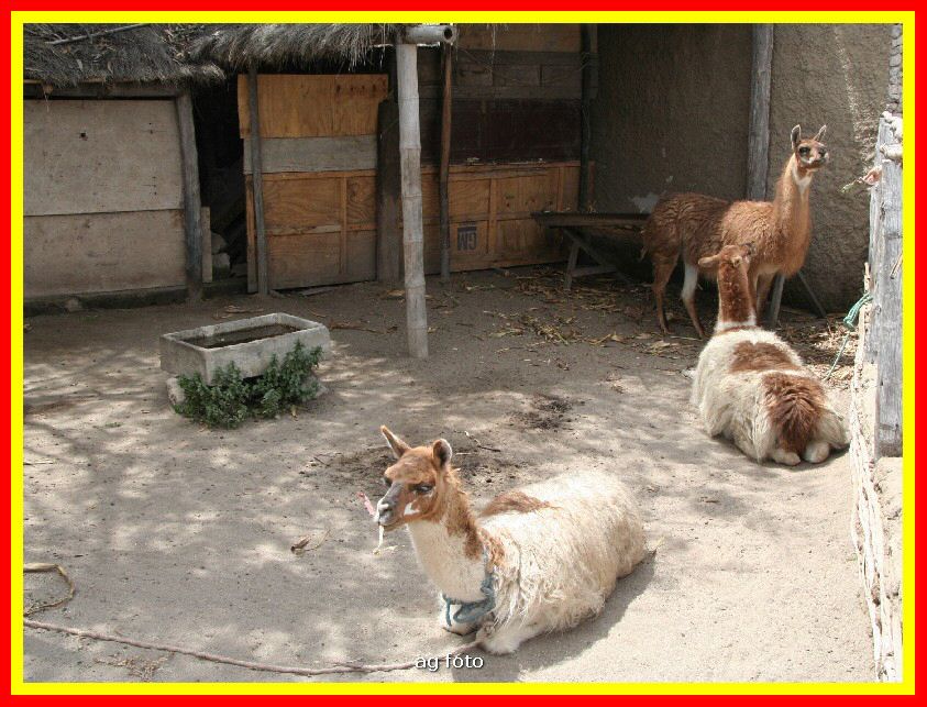 Ecuador 167_tn.jpg